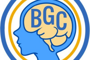 Brain Game Center